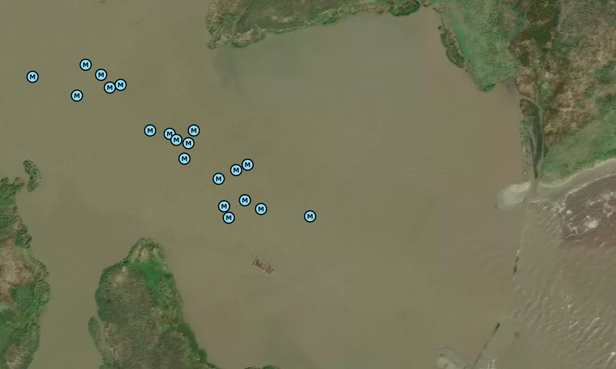 Satelite image of Burrwood Cut