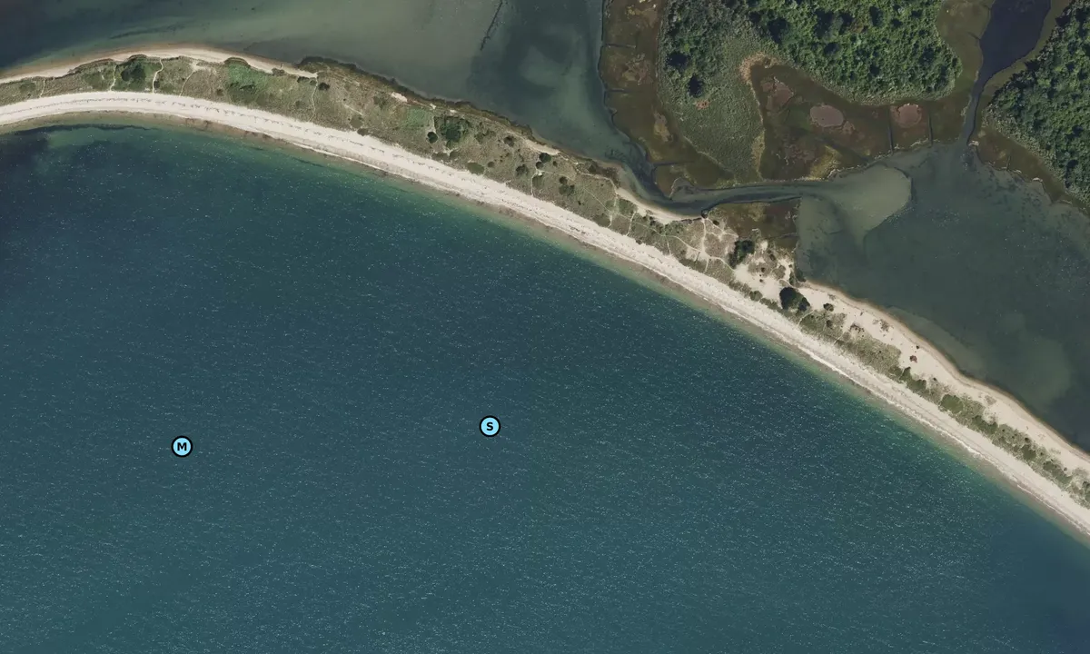 Satelite image of Bushy Point Beach
