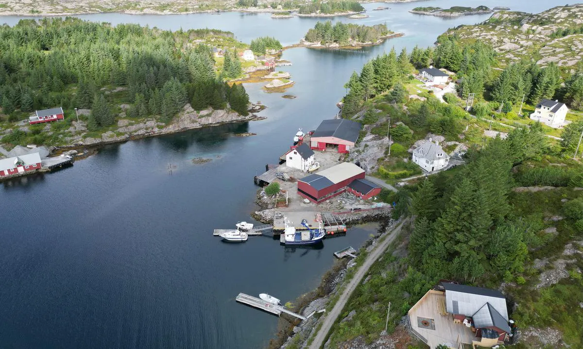 Buskøy: Looking entrance north.