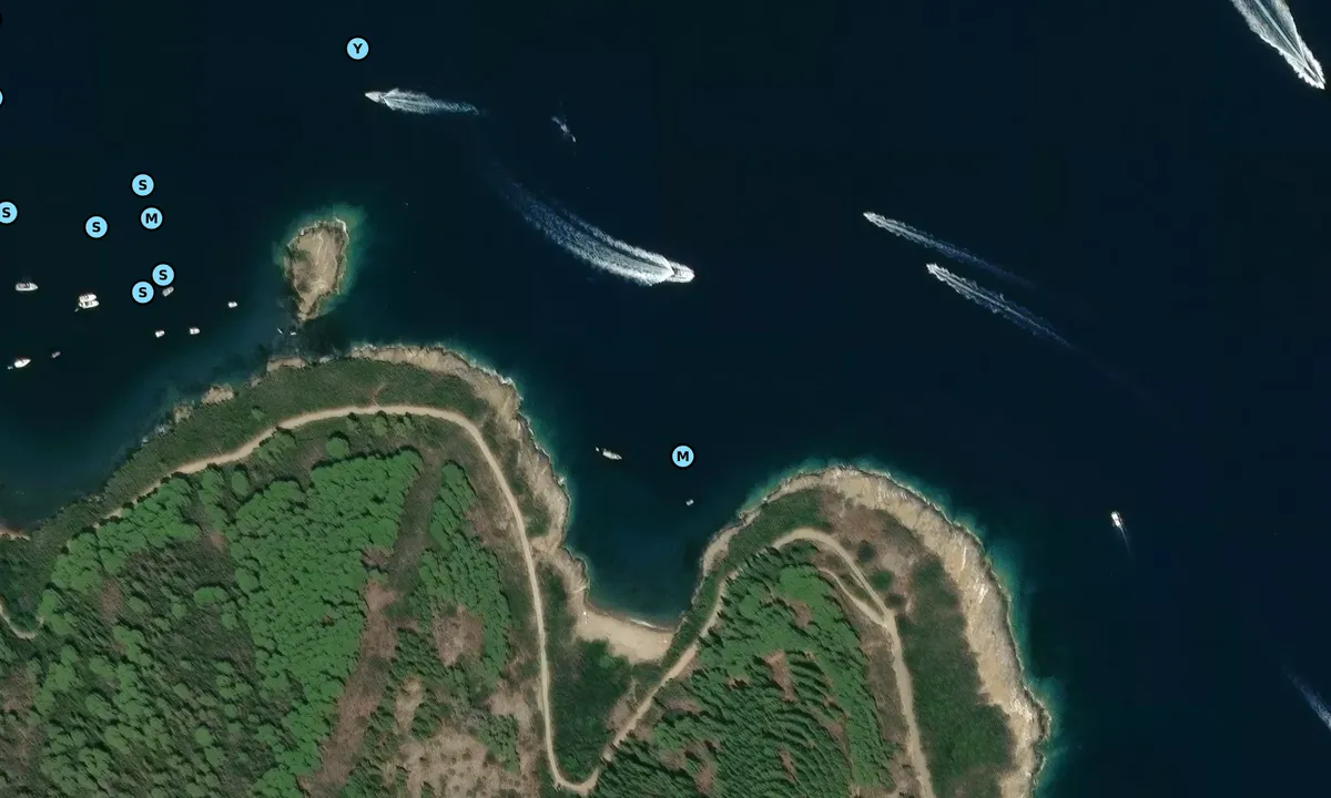 Satelite image of Buzzancone