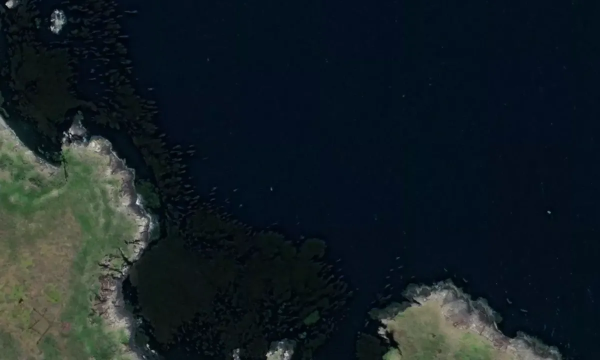 Satelite image of Cabo de Hornos – Lighthouse anchorage