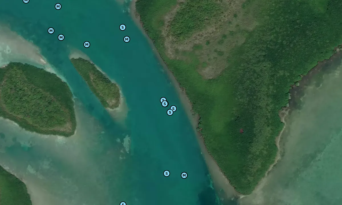 Satelite image of Caesar Creek