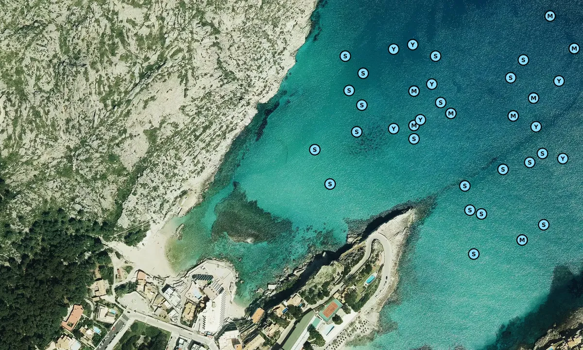 Satelite image of Cala Barques/ Clara