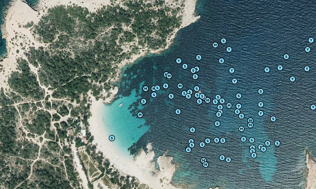 Satelite image of Cala Bassa - Sant Antoni de Portmany