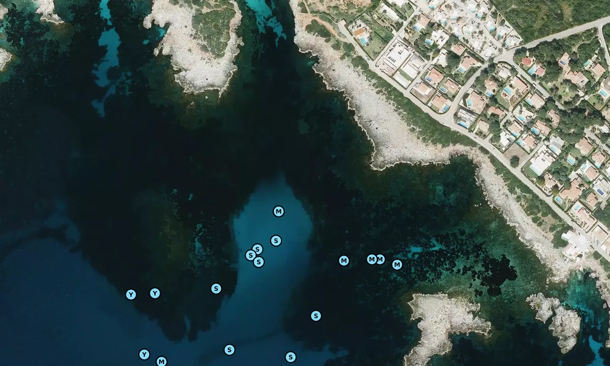 Satelite image of Cala Binisafulla