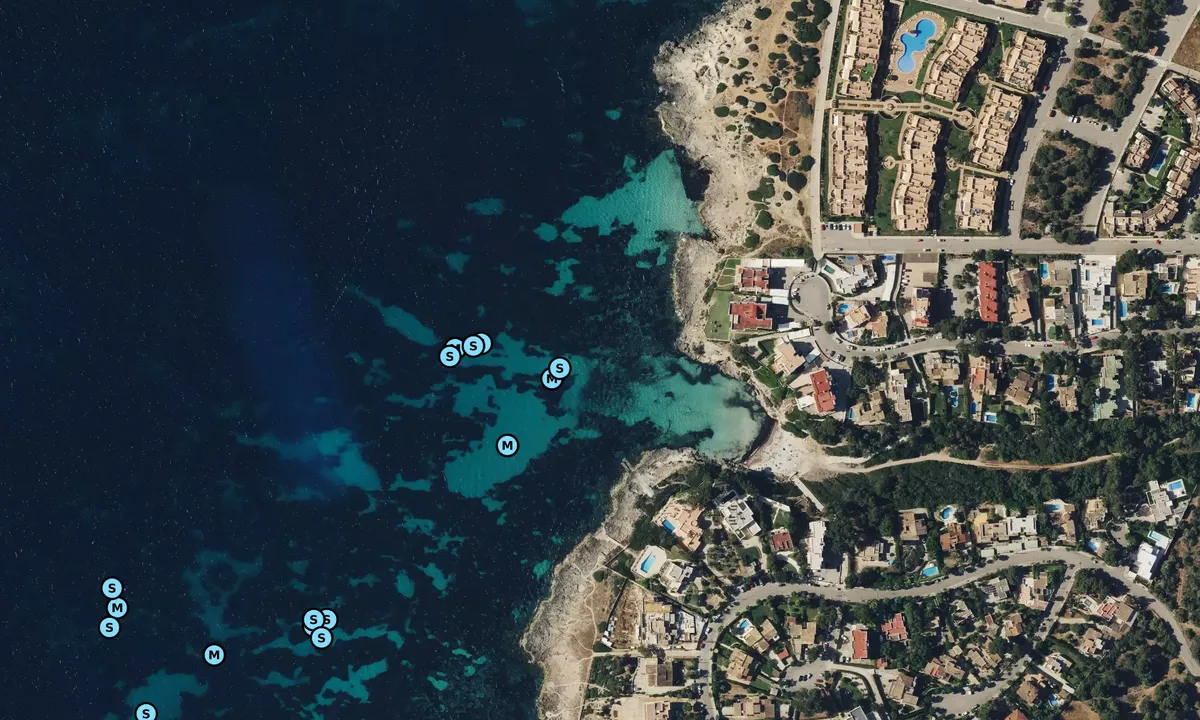 Satelite image of Cala Blava