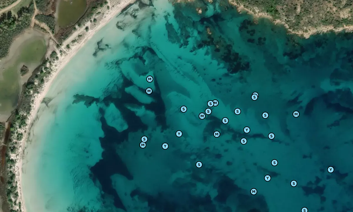 Satelite image of Cala Brandinchi