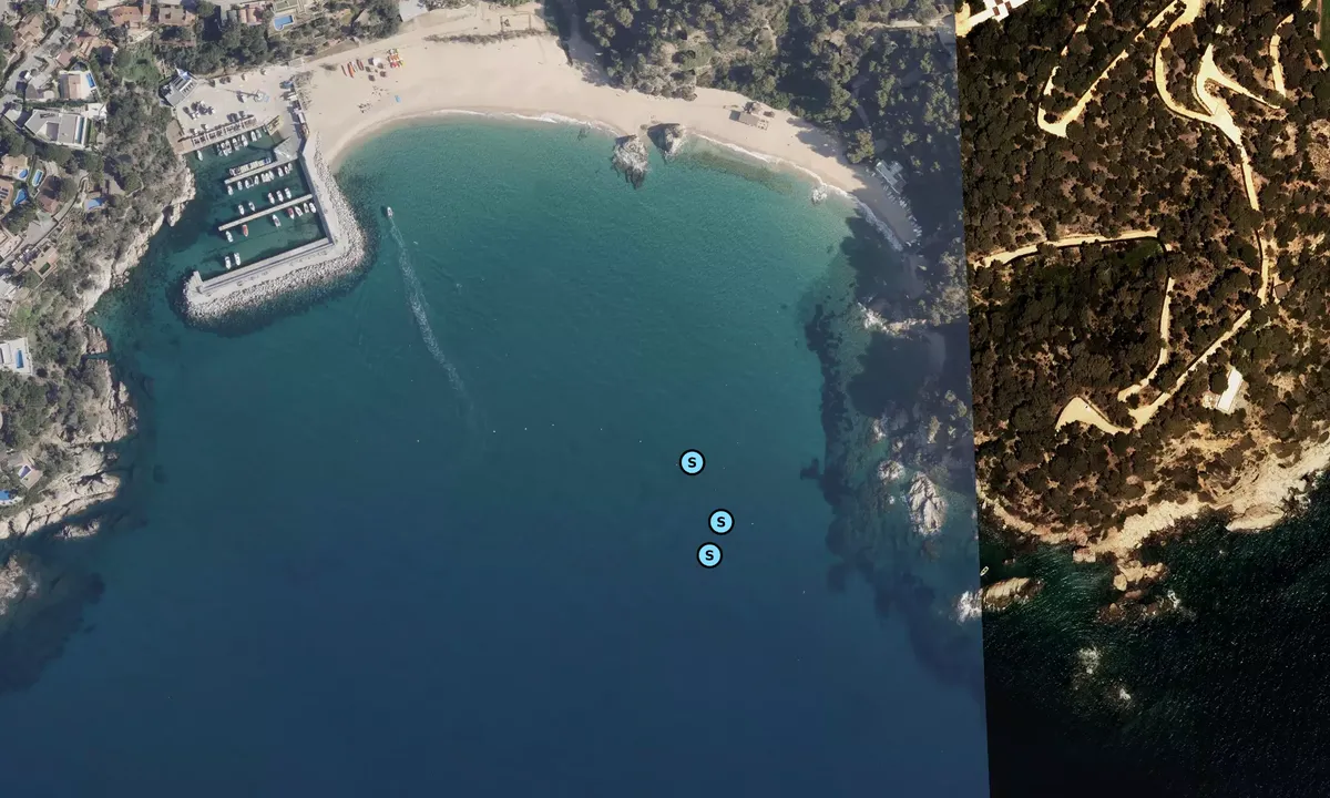 Satelite image of Cala Canyelles - Canyelles
