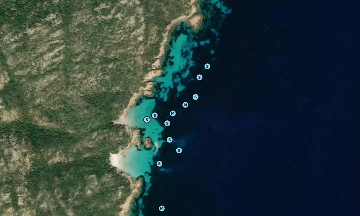 Satelite image of Cala Conneri