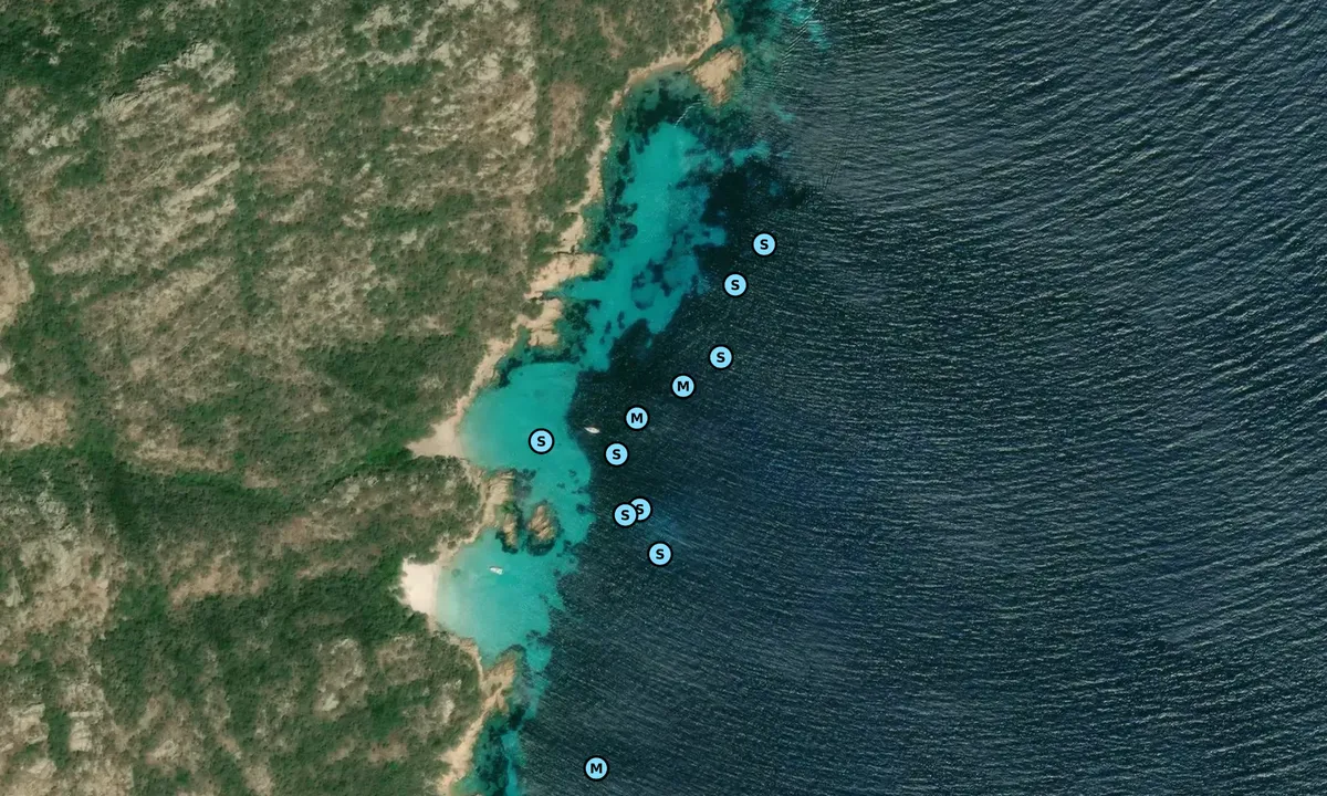 Satelite image of Cala Conneri