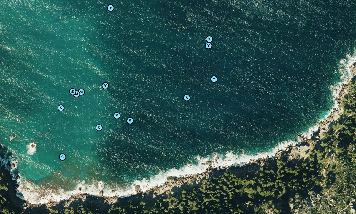 Satelite image of cala costera