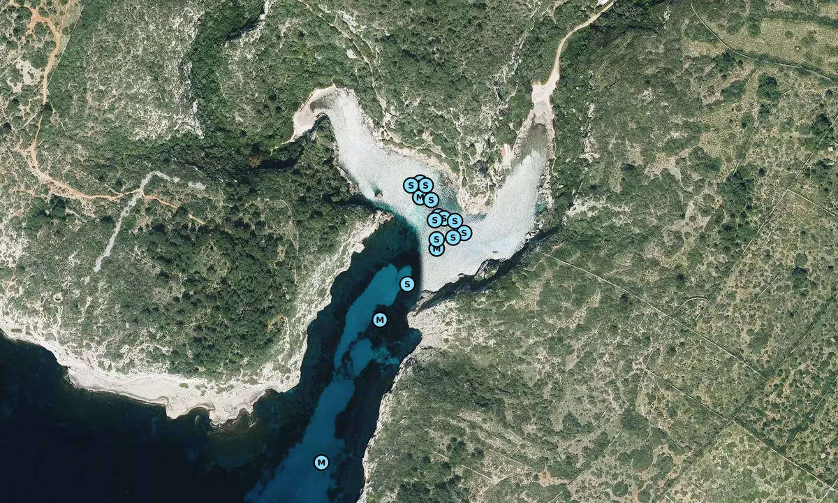 Satelite image of Cala Covas 1