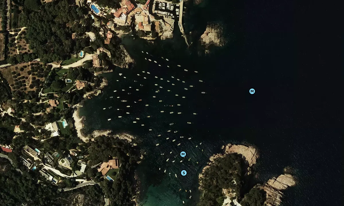 Satelite image of Cala de Aiguablava