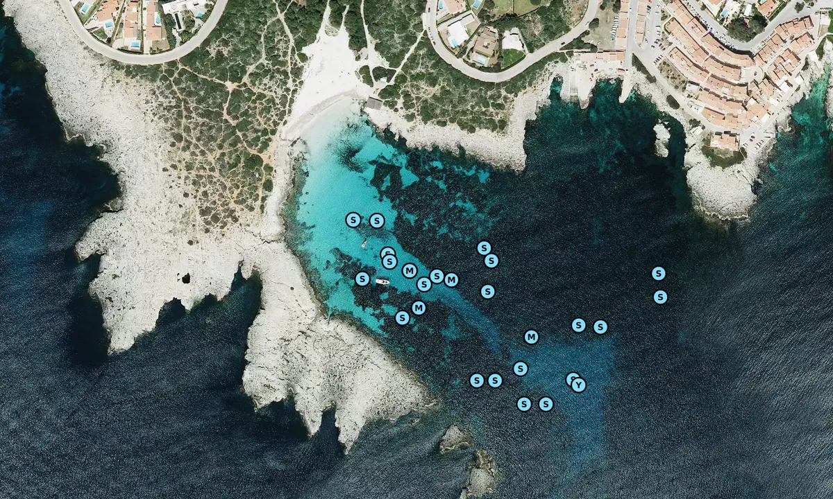 Satelite image of Cala de Binibeca