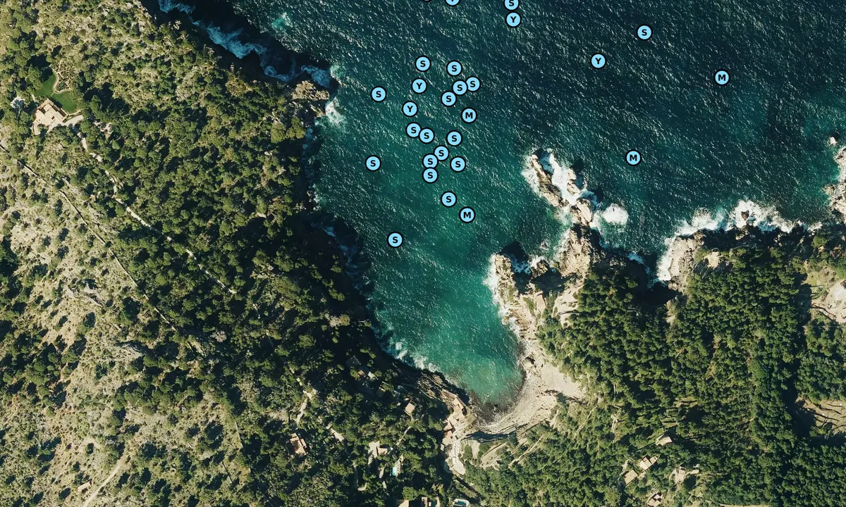 Satelite image of Cala de Deyá