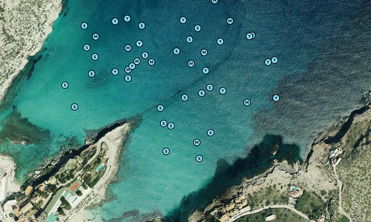 Satelite image of Cala de San Vicente