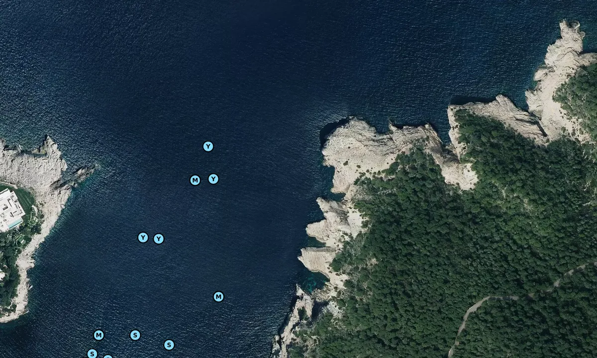 Satelite image of Cala de Sant Miguel
