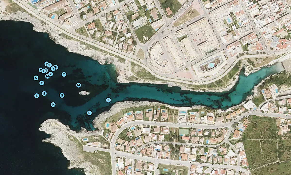 Satelite image of Cala Degollador