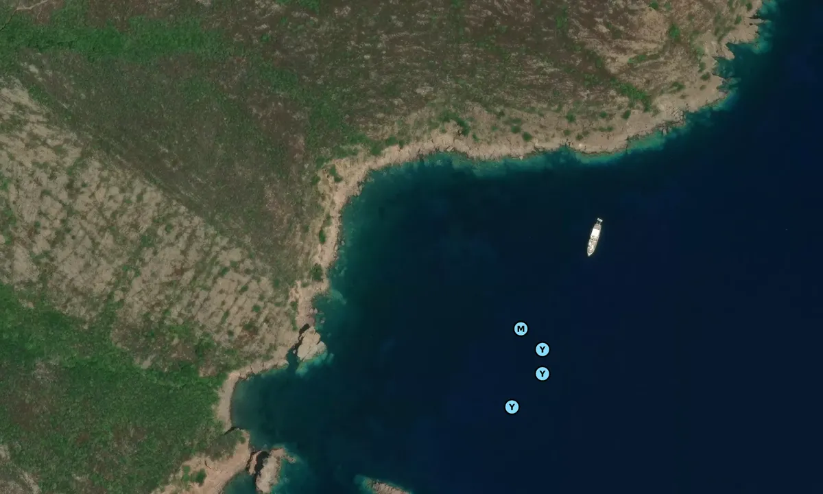 Satelite image of Cala dei Porcili