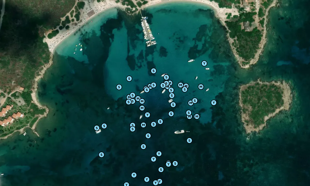 Satelite image of Cala dei Porri
