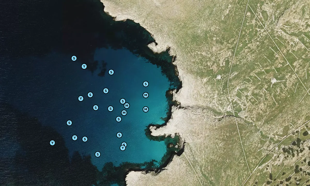 Satelite image of Cala del Amarrado