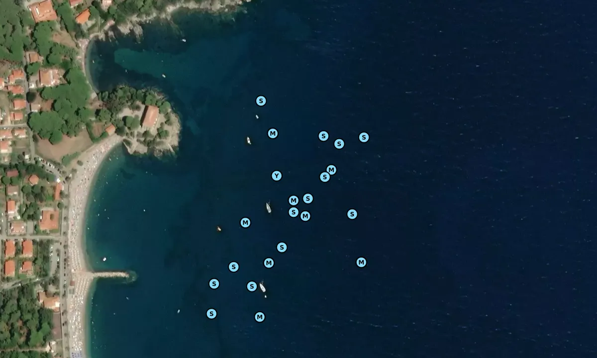 Satelite image of Cala dell'Alga