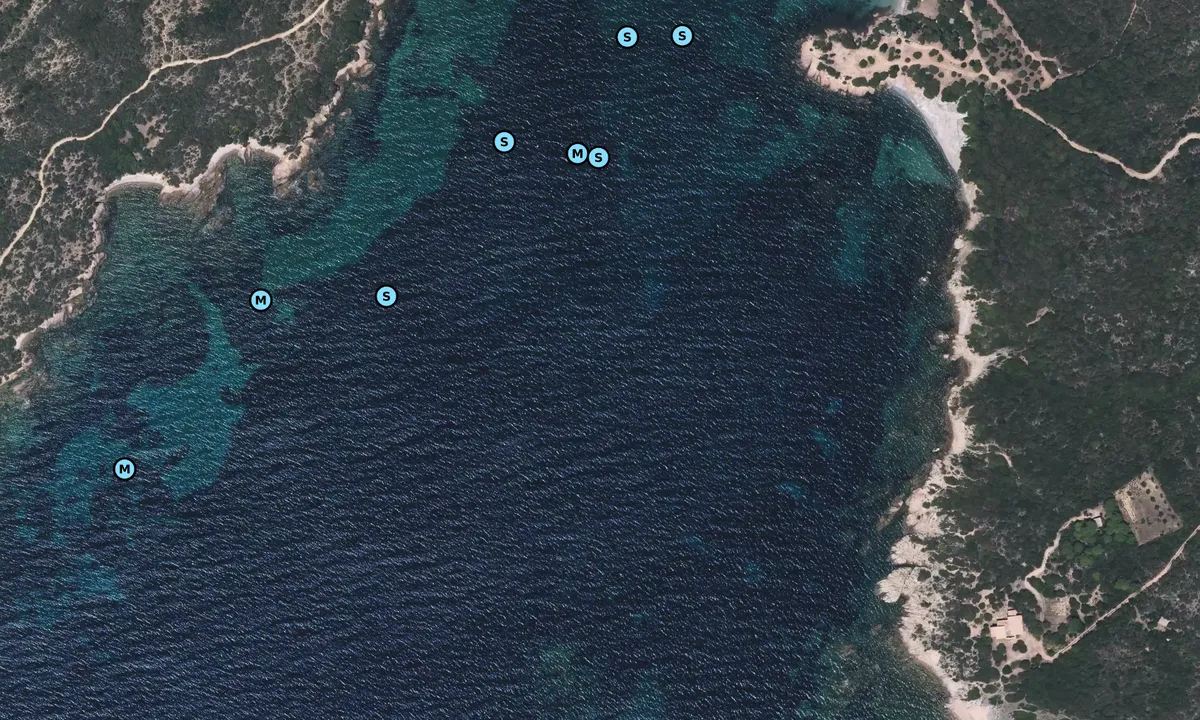 Satelite image of Cala di Furnellu