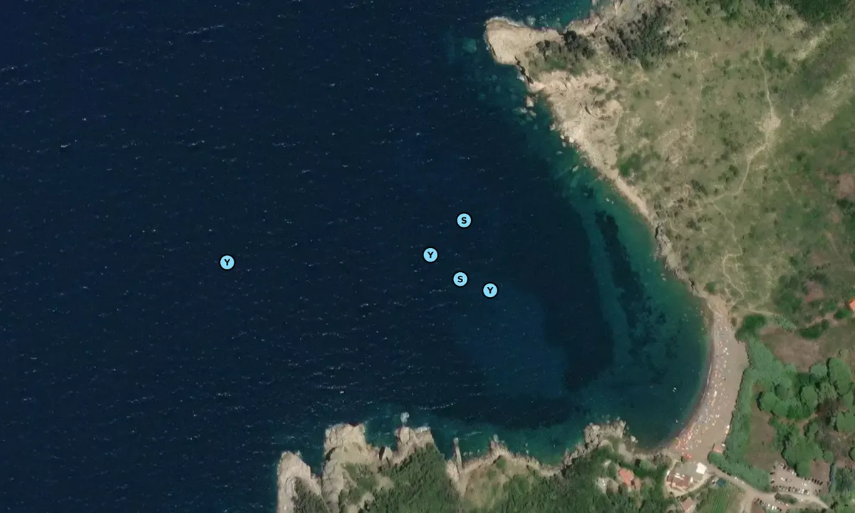 Satelite image of Cala di Nisportino