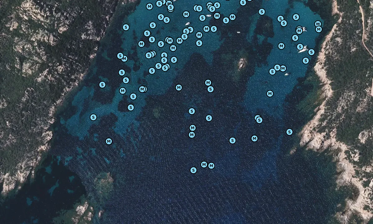 Satelite image of Cala di Roccapina