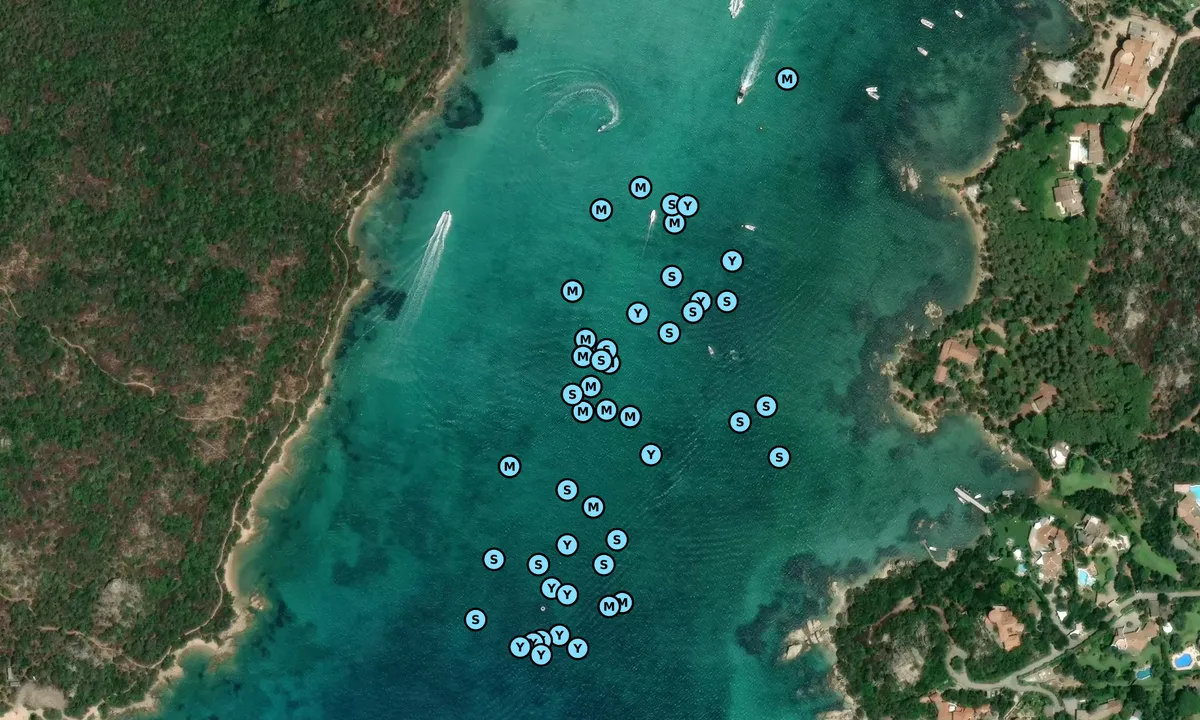 Satelite image of Cala di Volpe - Sassari