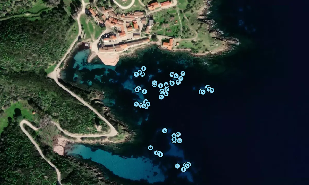 Satelite image of Cala d'Oliva - Asinara Marina
