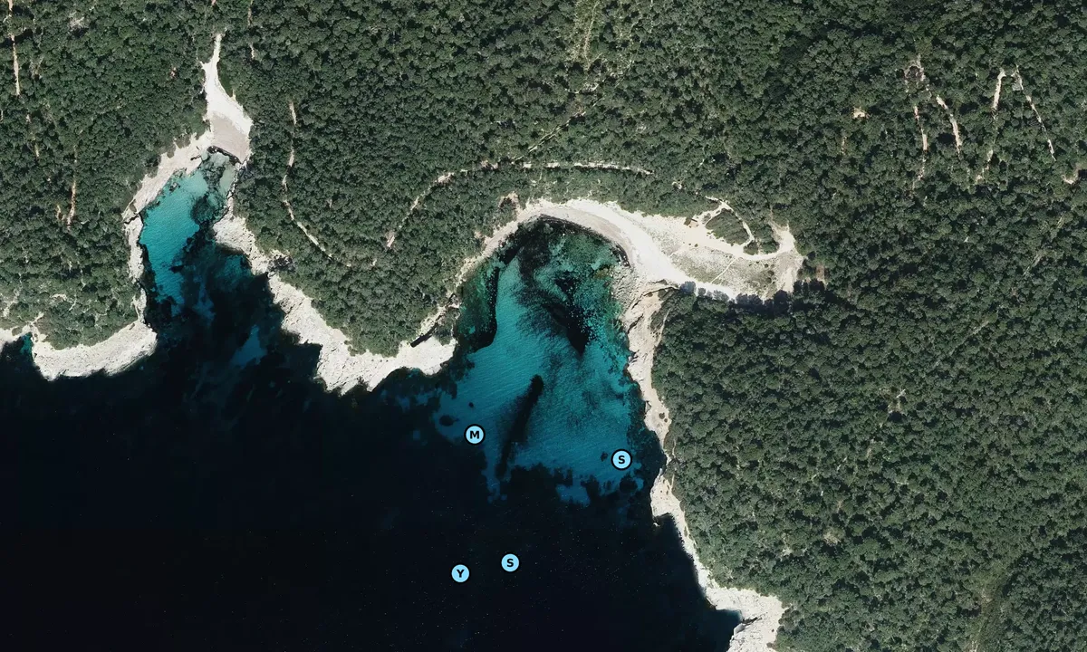 Satelite image of Cala Escorxada 1