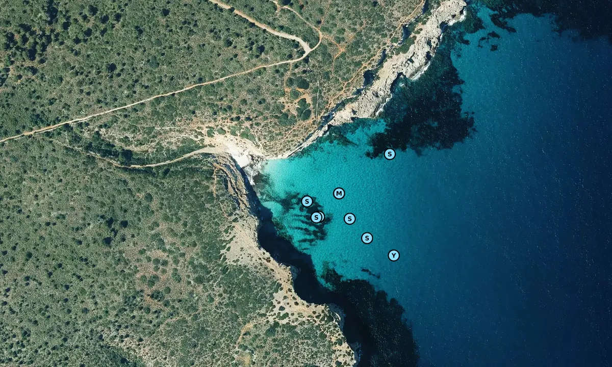 Satelite image of Cala Falcó