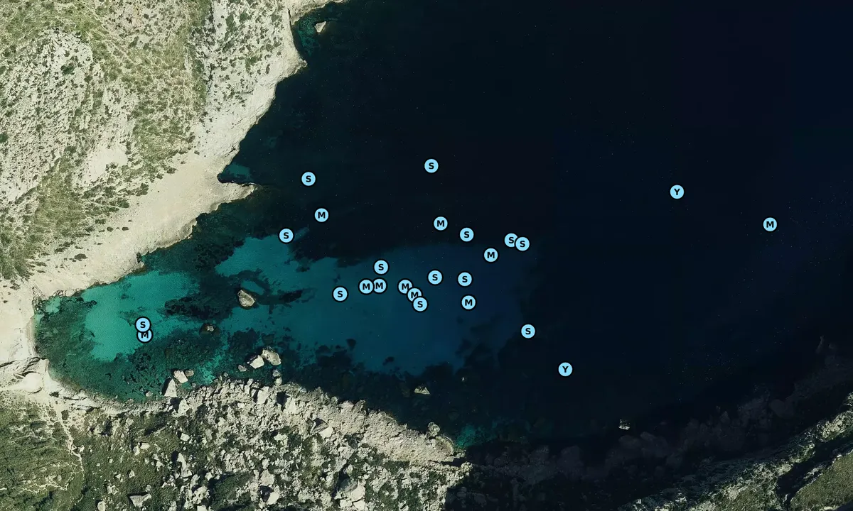 Satelite image of Cala Figuera