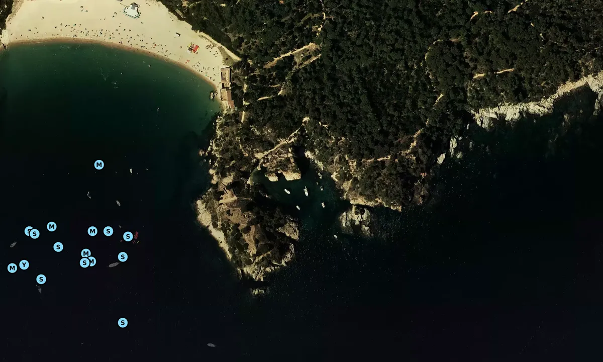 Satelite image of Cala Foradada