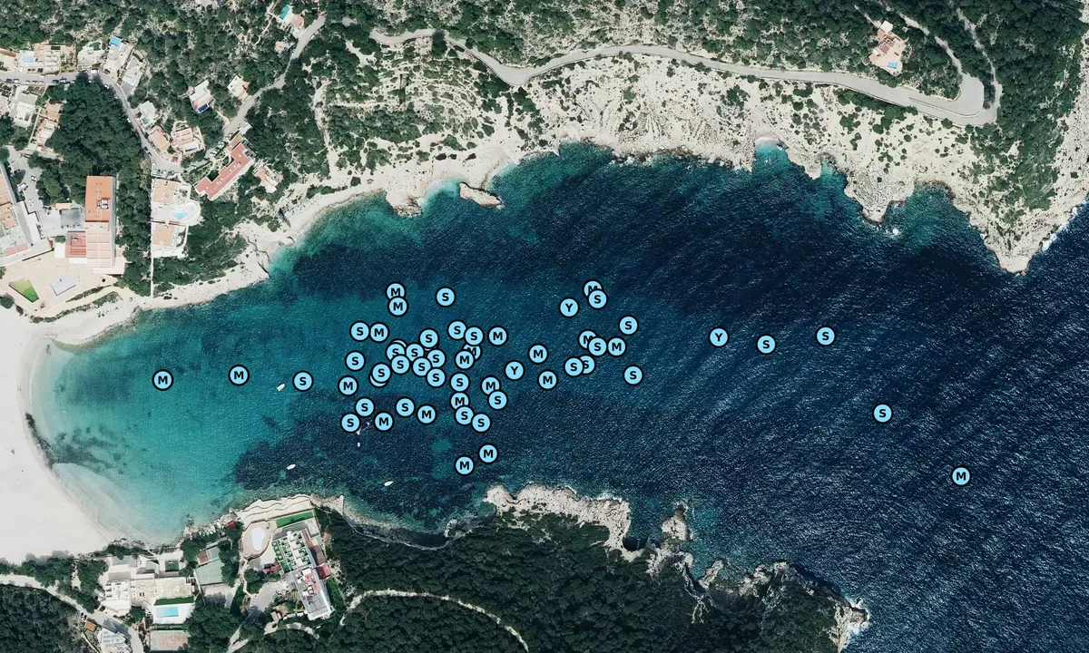 Satelite image of Cala Llonga