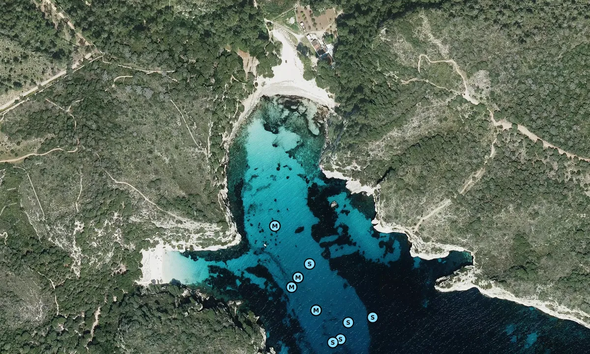 Satelite image of Cala Macarella