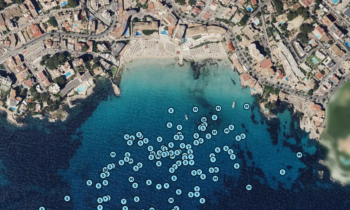 Satelite image of Cala Major