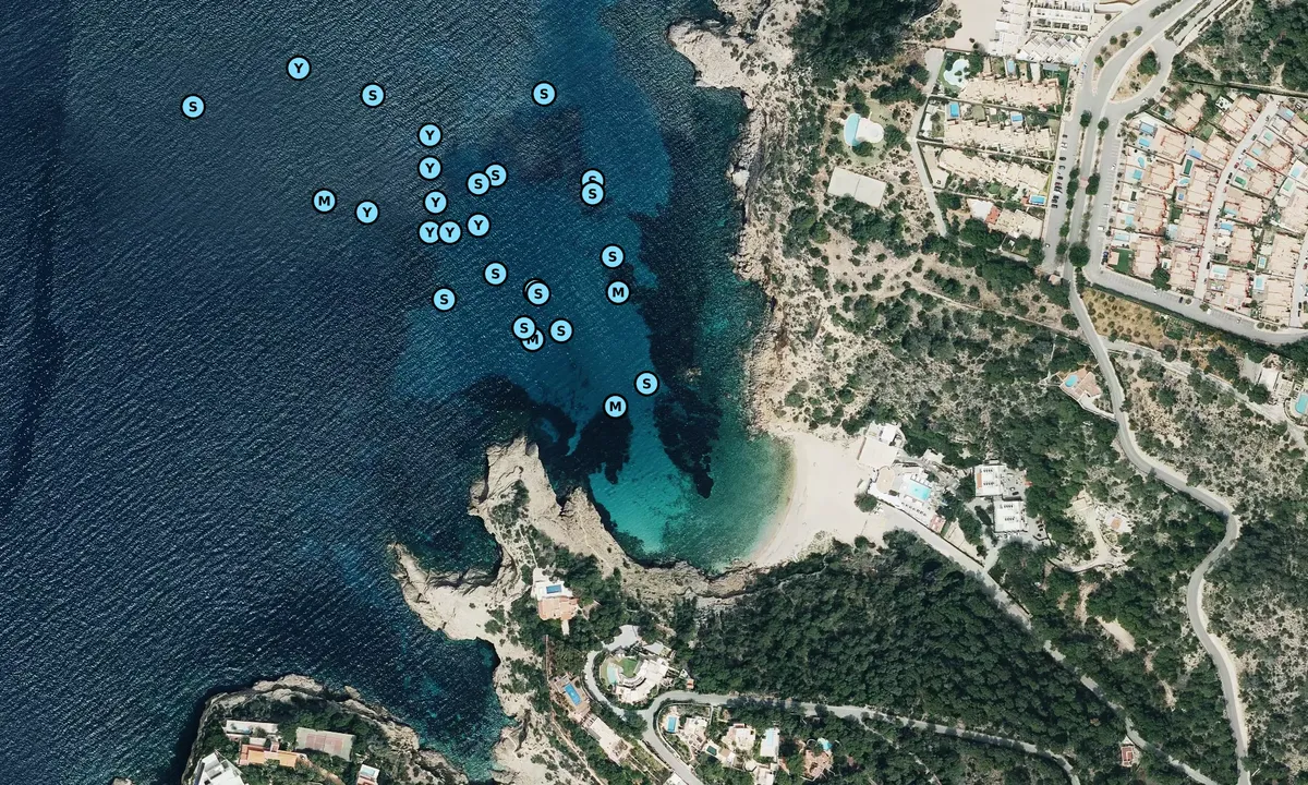 Satelite image of Cala Molí