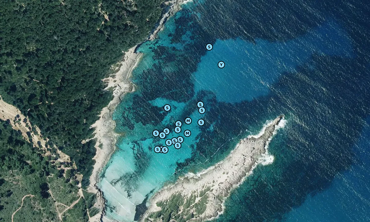 Satelite image of Cala Molto