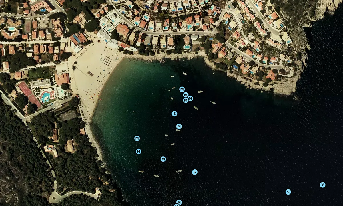 Satelite image of Cala Montgo