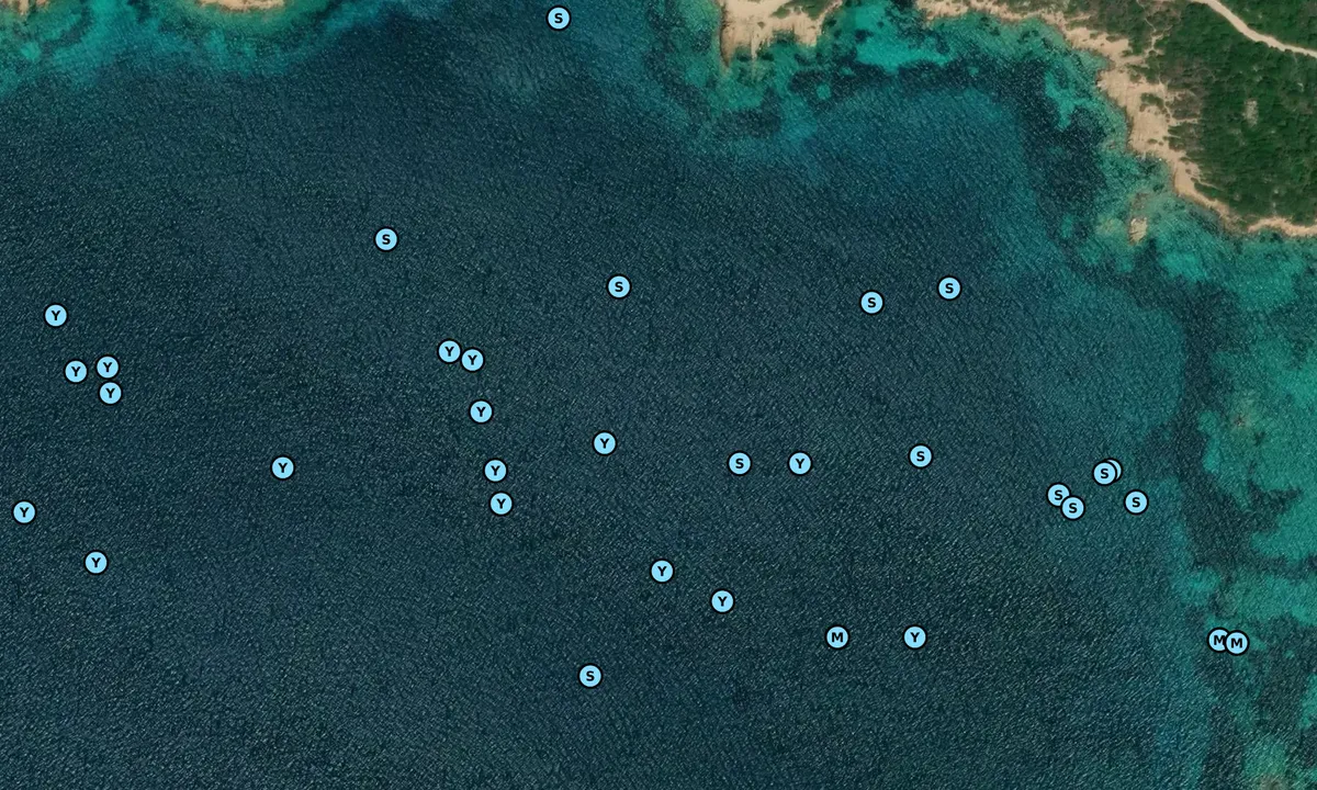 Satelite image of Cala Mussitta