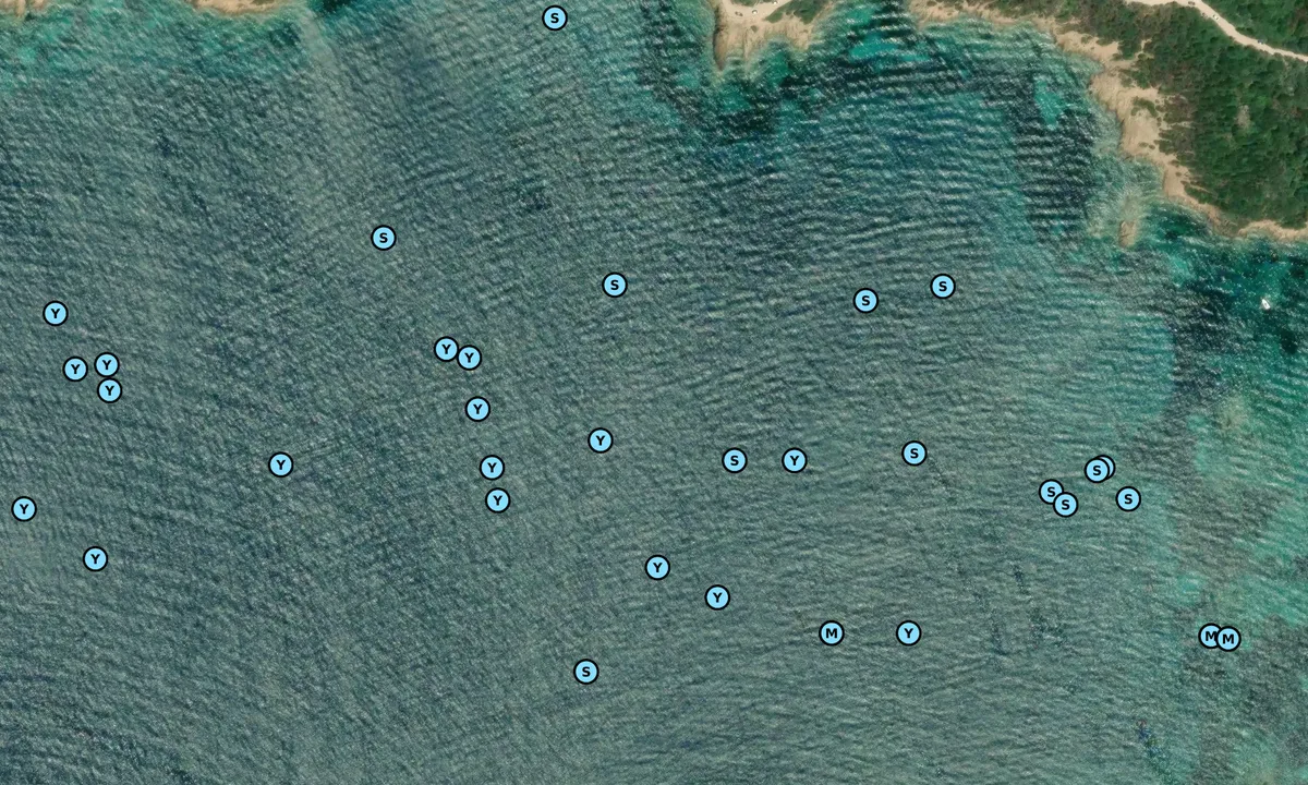Satelite image of Cala Mussitta