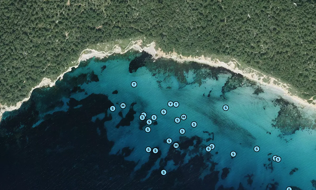 Satelite image of Cala Niu Llorc