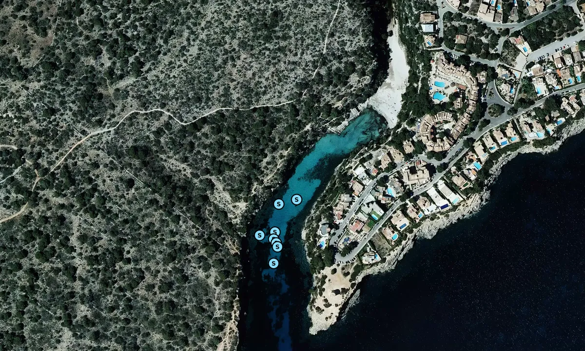 Satelite image of Cala Pi