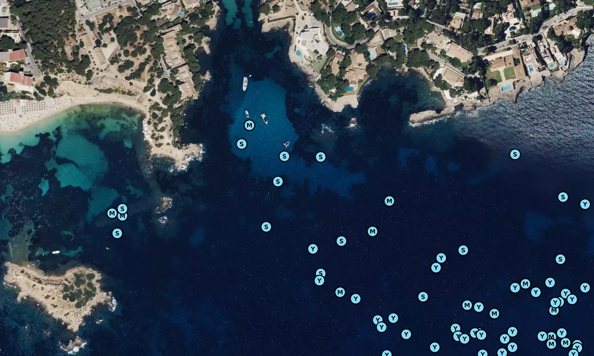 Satelite image of cala Portals nou