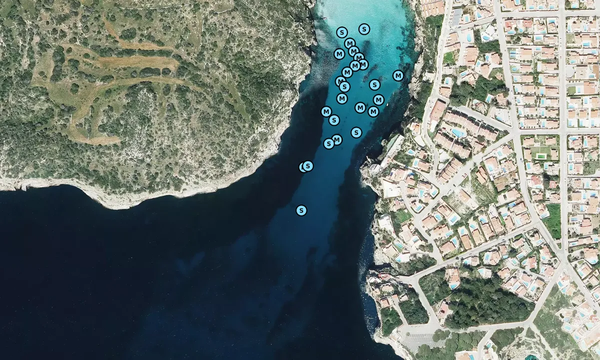 Satelite image of Cala Porter