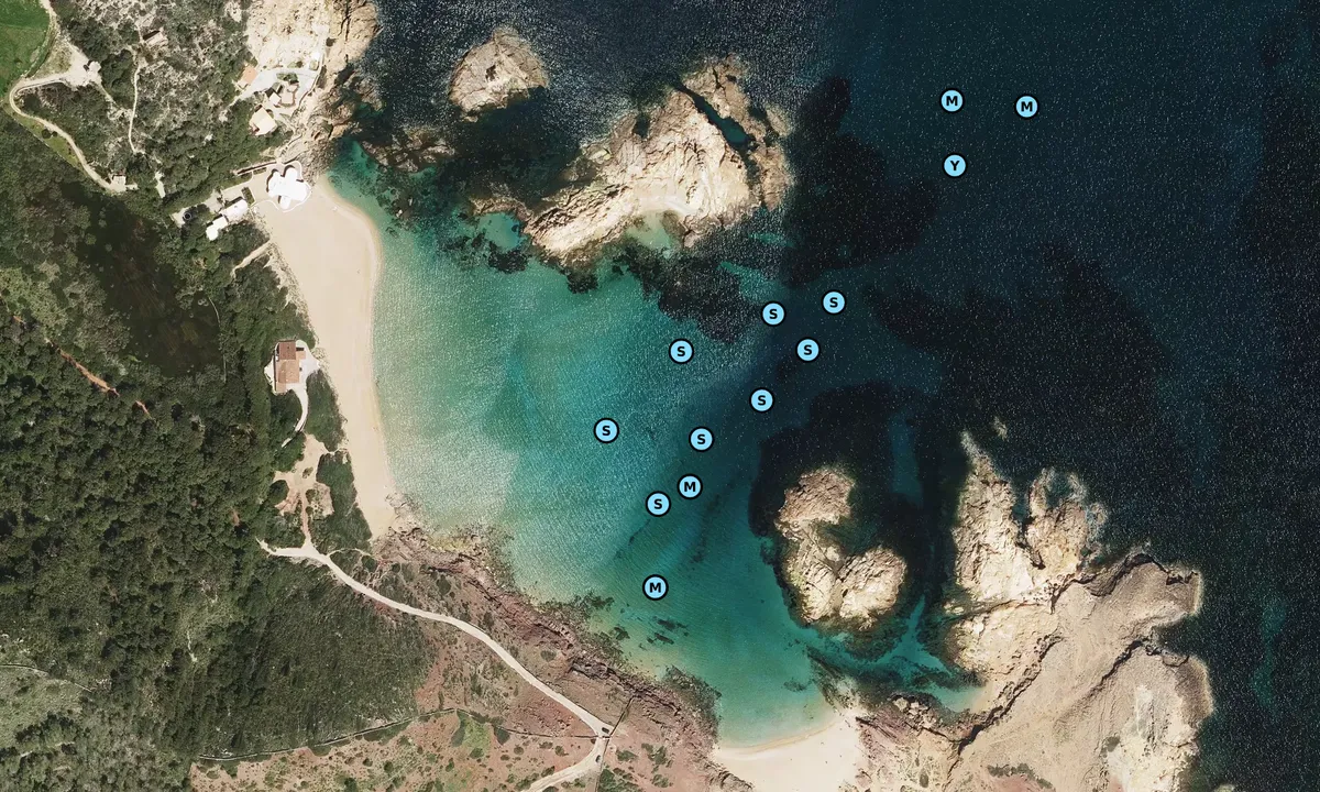 Satelite image of Cala Pregonda