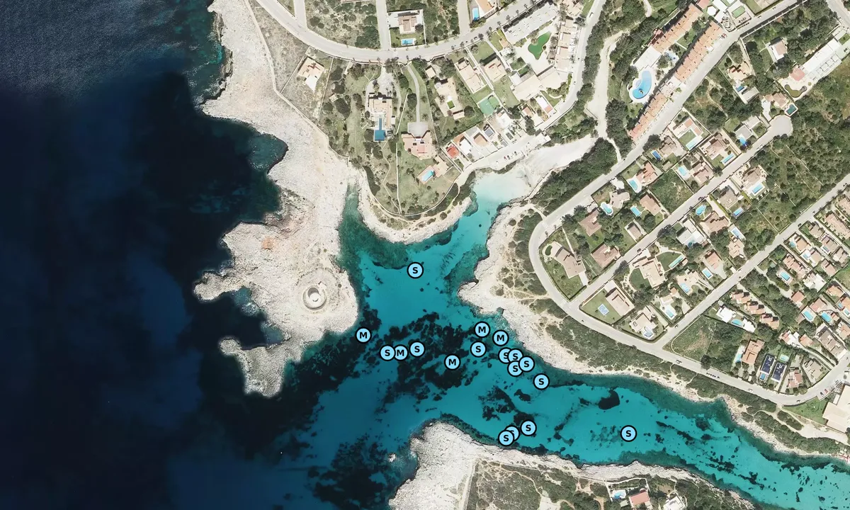 Satelite image of cala sa caletta