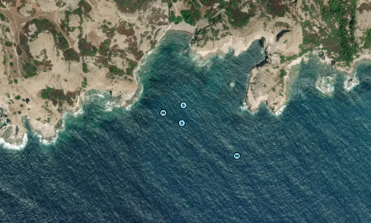 Satelite image of Cala Sa Codulera